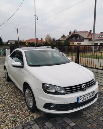 Volkswagen Eos cena 44900 przebieg: 142000, rok produkcji 2014 z Trzciel małe 56